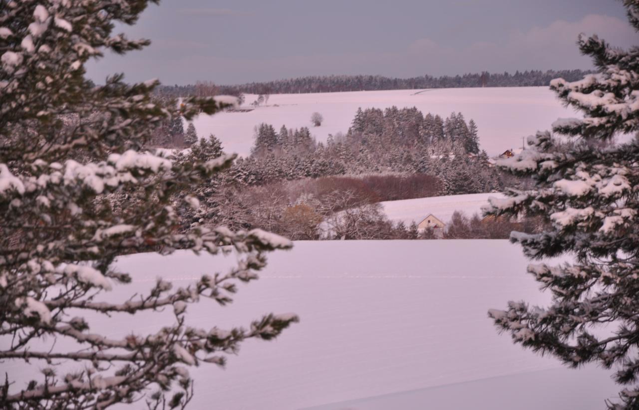 Landhotel Krone Alpirsbach Bagian luar foto